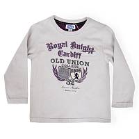 Джемпер для мальчиков (CM) 53322.91